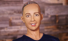 Vatandaş robot